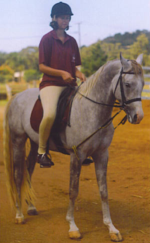 arabianchallenge2003undersaddle.jpg