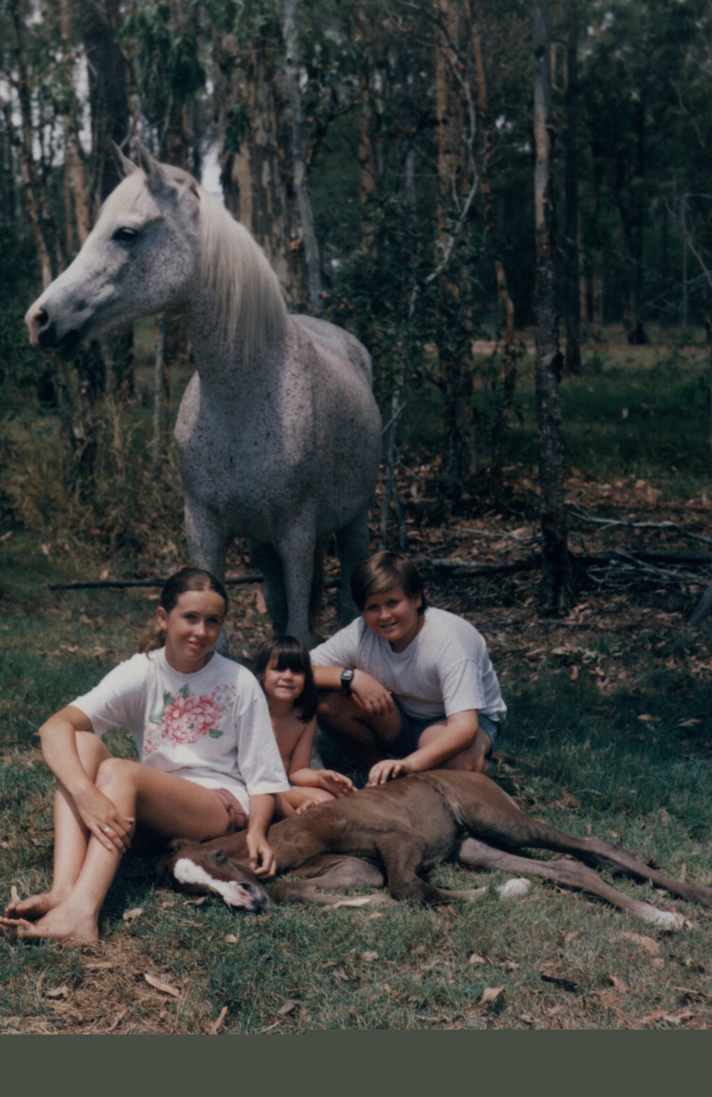 filly1.jpg
